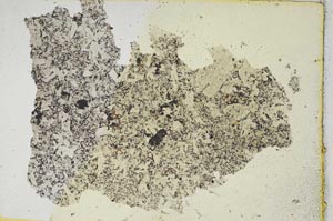 Plane Polarized, S293/B