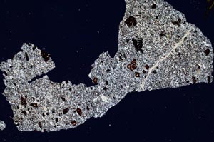 Cross Polarized, S294