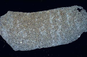 Cross Polarized, S296