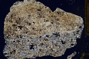 Cross Polarized, S297