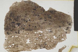 Plane Polarized, S297