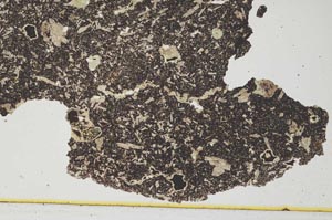 Plane Polarized, S298