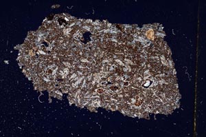 Cross Polarized, S299