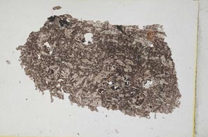 Plane Polarized, S299