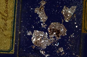 Cross Polarized, S300