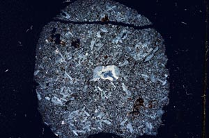 Cross Polarized, S303