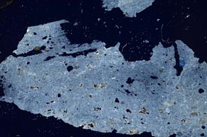 Cross Polarized, S304