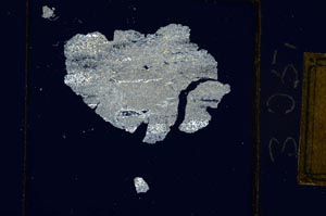 Cross Polarized, S305