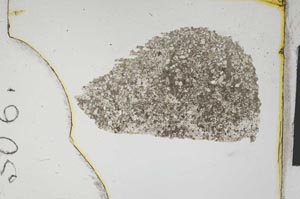 Plane Polarized, S306