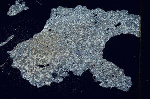 Cross Polarized, S308