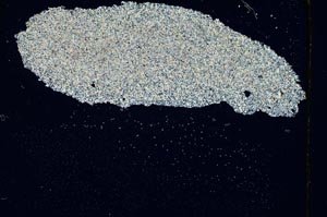 Cross Polarized, S309