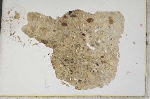 Plane Polarized, S310