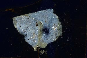 Cross Polarized, S312