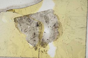 Plane Polarized, S312