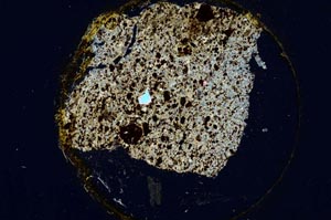 Cross Polarized, S314