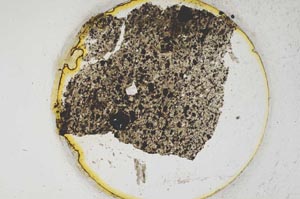 Plane Polarized, S314