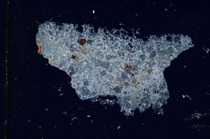 Cross Polarized, S315