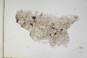 Plane Polarized, S315