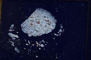 Cross Polarized, S316