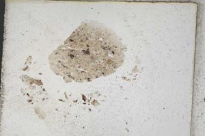 Plane Polarized, S316