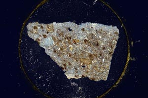 Cross Polarized, S317