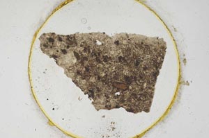 Plane Polarized, S317