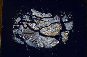 Cross Polarized, S319/B