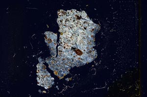 Cross Polarized, S320/A