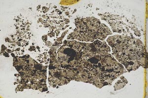 Plane Polarized, S320/C