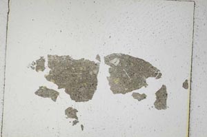 Plane Polarized, S326