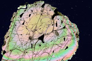 Cross Polarized, S329