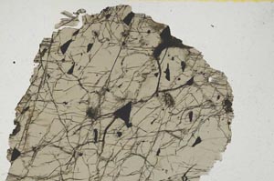 Plane Polarized, S329