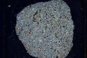 Cross Polarized, S335