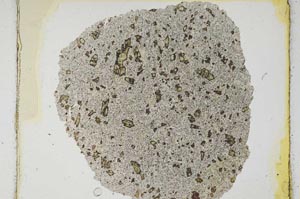 Plane Polarized, S335