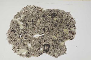 Plane Polarized, S368