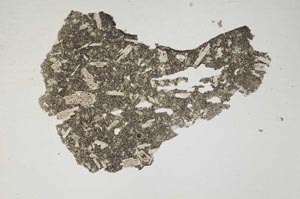 Plane Polarized, S369