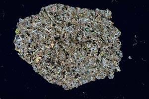 Cross Polarized, S370