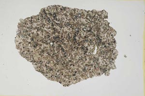 Plane Polarized, S370