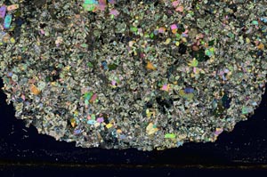 Cross Polarized, S372