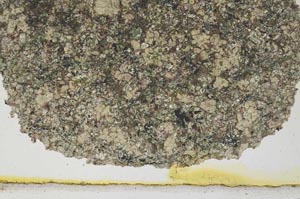 Plane Polarized, S372