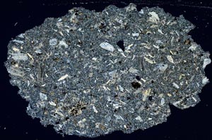 Cross Polarized, S373