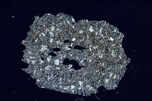 Cross Polarized, S374