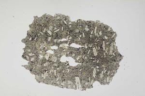 Plane Polarized, S374