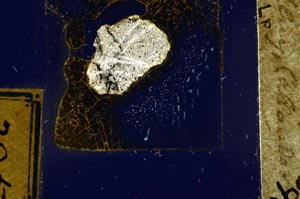 Cross Polarized, S395