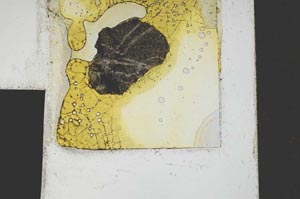 Plane Polarized, S395