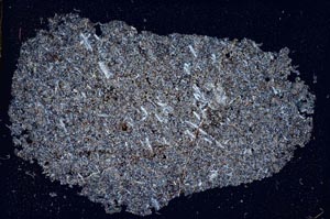 Cross Polarized, S415