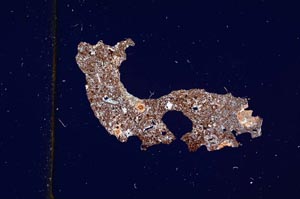 Cross Polarized, S416/A