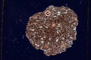 Cross Polarized, S416/B