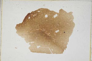 Plane Polarized, S8892