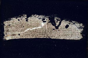 Cross Polarized, S8941